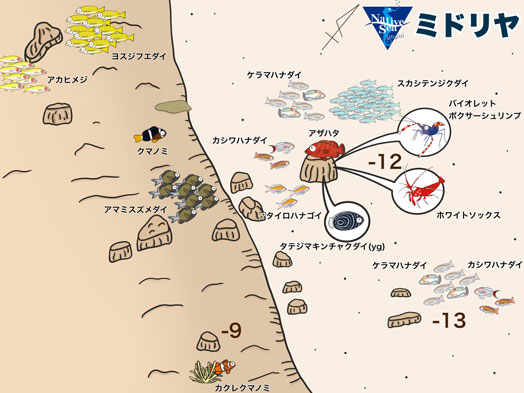 ミドリヤの地図