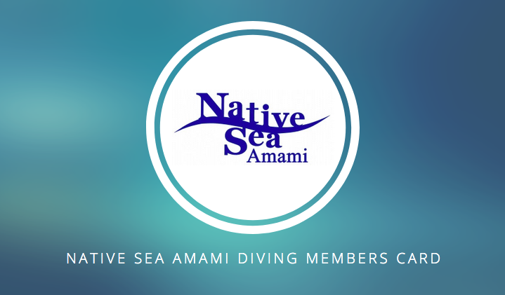 ポイントカード表